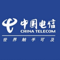 中国电信临沂分公司城东公司